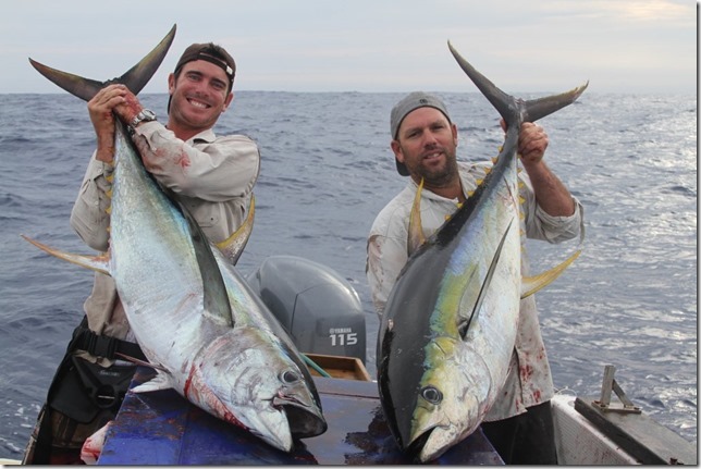 norfolk-island-yellowfin-tuna.jpg