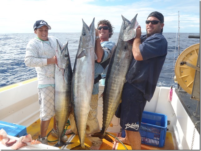 norfolk-island-wahoo-big.jpg